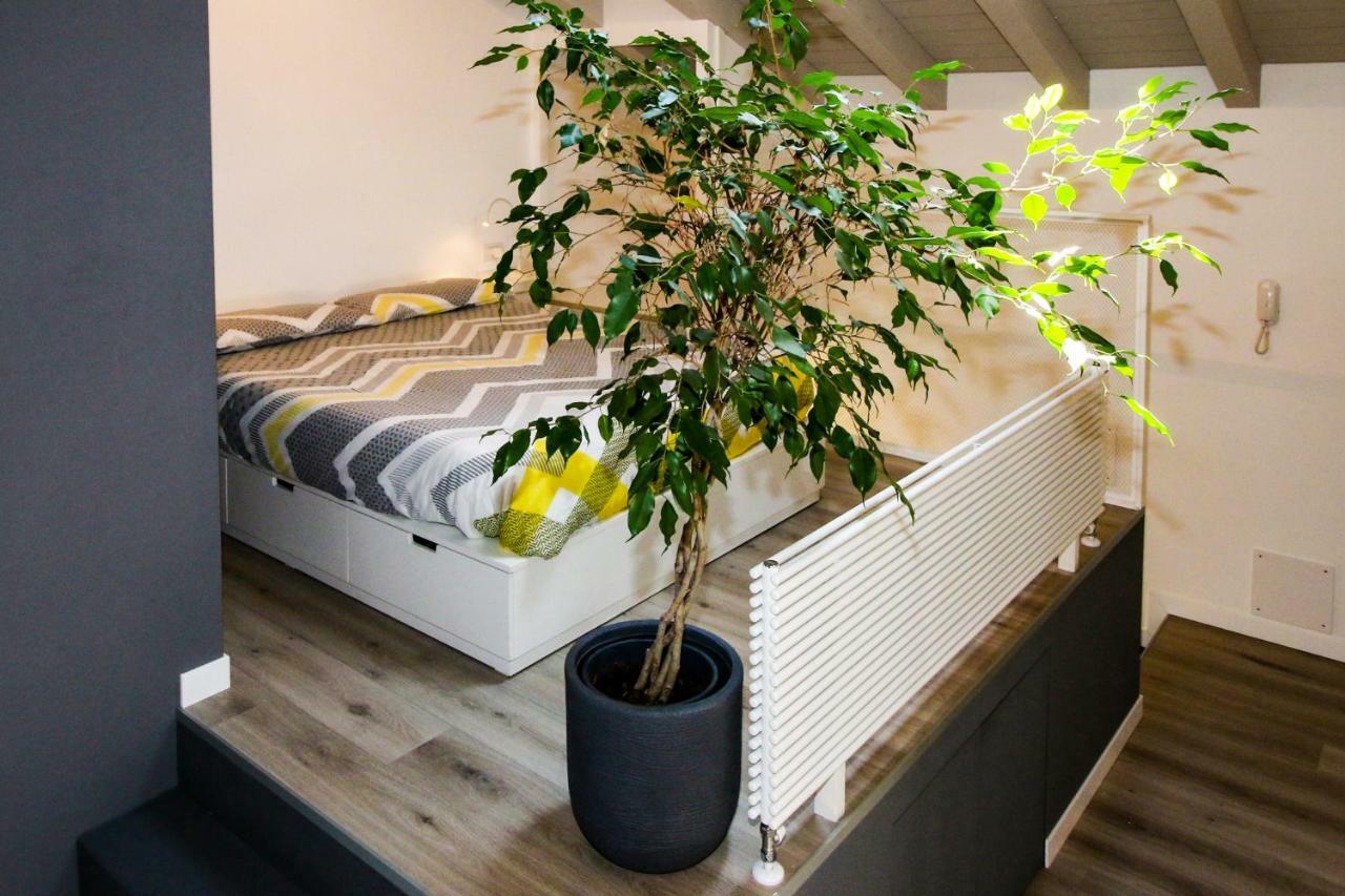 Sofi Apartment Chiavenna Buitenkant foto